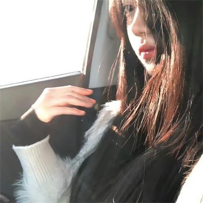 十二猴子