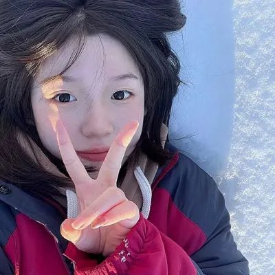 好莱坞狗日子